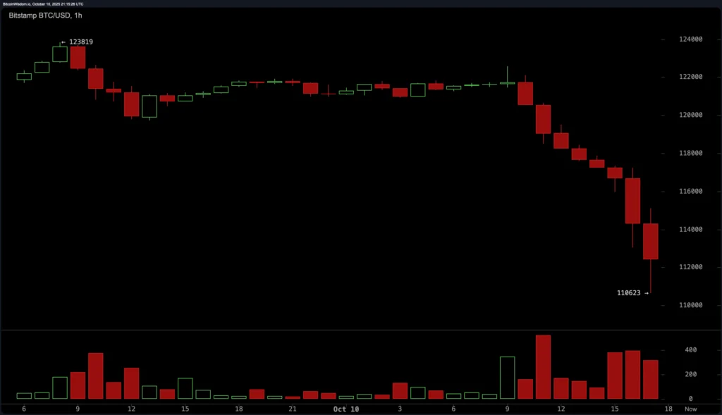 The Great Crypto Meltdown_1